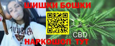 Альфа ПВП Кимры