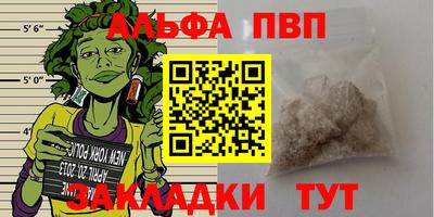 спиды Кинель