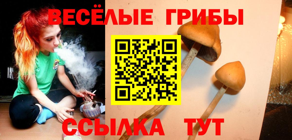 Галлюциногенные грибы мухоморы  Вход с VPN  Кудрово  Псилоцибиновые грибы Magic Shrooms 